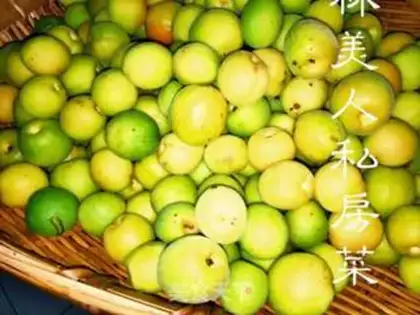 Make Blue plum wine step 0