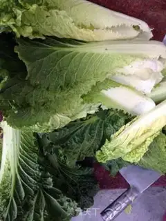 Make Homemade cuisine step 0
