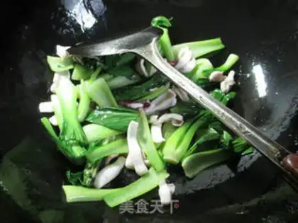 Make Squid step 4