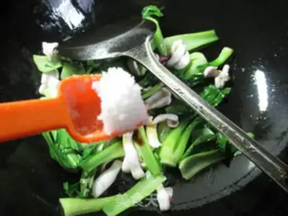 Make Squid step 6