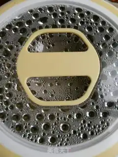Make Enzymes step 12