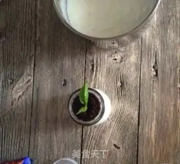 Make Battery yogurt step 12