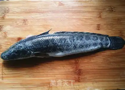 Make Squid fish step 1