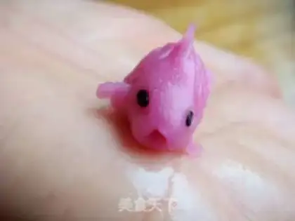 Make Pussy hippie step 18