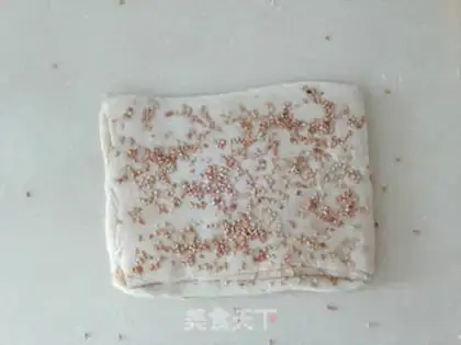 Make A lasagna step 13