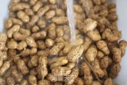 Make Plumbing peanuts step 0