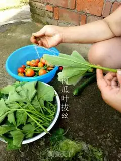 Make Pumpkin leaves step 0