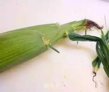 Make Sweet corn step 1