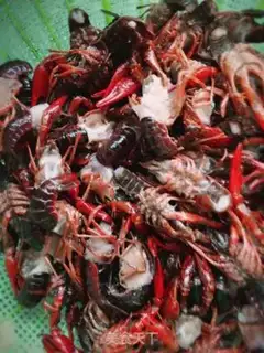 Make Spicy lobster step 0