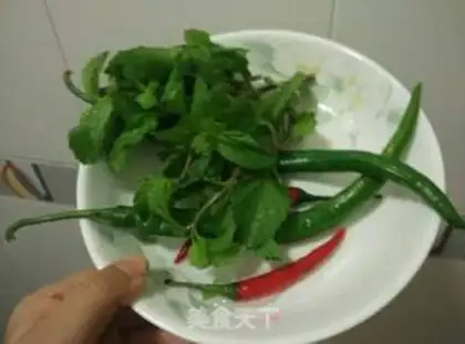 Make The guest mint duck step 2