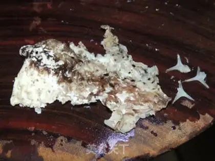 Make A fish-skin soup from the royals step 5
