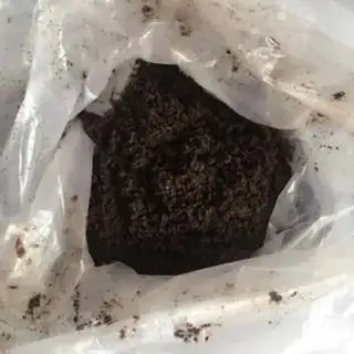 Make Blueberry Dragon Roast Maus step 6