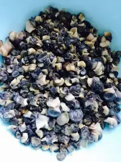 Make Sour snails step 1