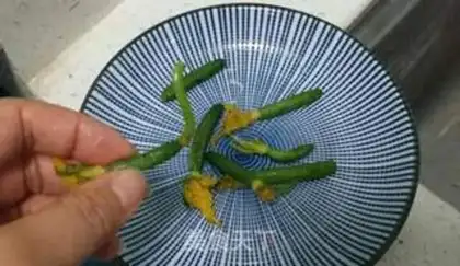 Make Garlic ginseng with gold magma step 0