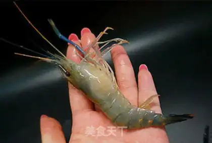 Make Private saline shrimp step 1