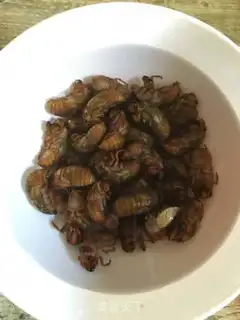 Make Fry the monkeys step 0