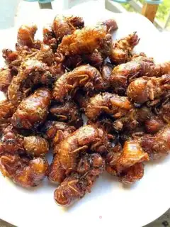 Make Fry the monkeys step 5