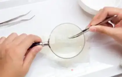 Make Swallow nest step 0