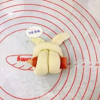 Make Rabbit sausage bag step 8