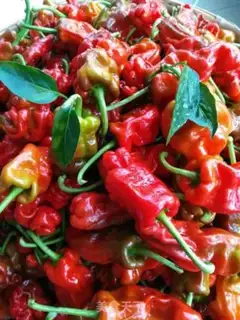 Make Spicy step 0
