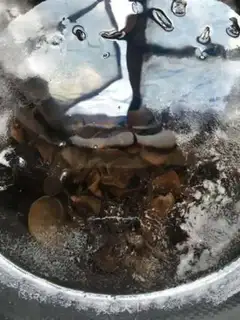 Make It smells sour step 1