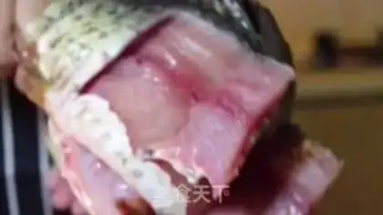 Make Jealousy fish step 1