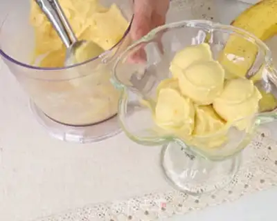 Make Yogurt and fruit ice cream step 6