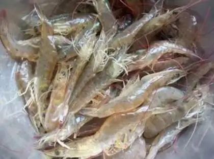 Make Crayfish step 0