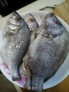 Make Red fish step 0