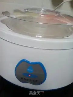 Make Homemade yogurt step 5