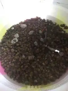 Make Snails step 0