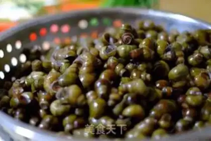Make Snails step 1