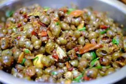 Make Snails step 4
