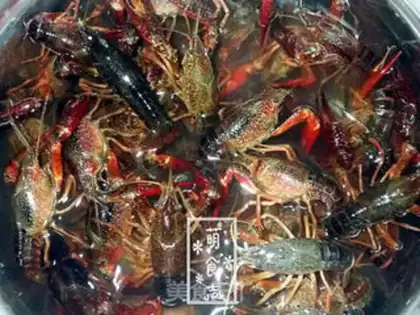 Make Spicy 13-spicy lobster step 0