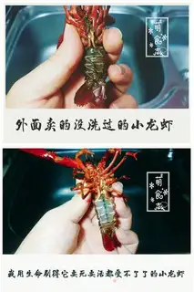Make Spicy 13-spicy lobster step 2