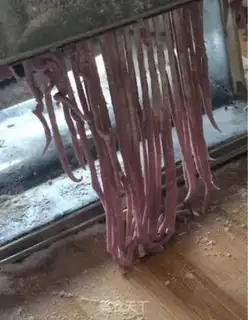 Make Chip carrot noodles step 6