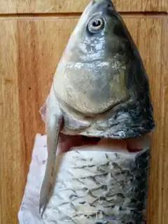 Make Spicy fish step 1