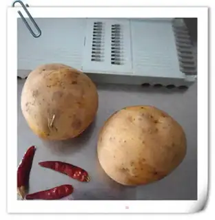 Make Dry potato spinal cord step 0