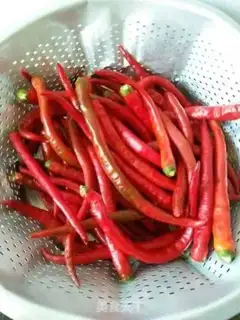 Make Homemade peppers step 0