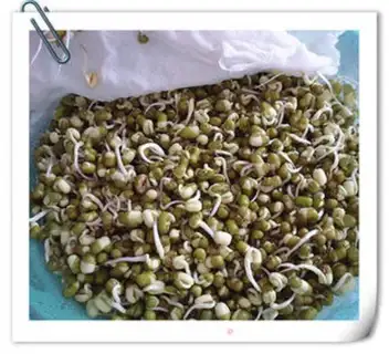 Make Green bean sprouts step 4