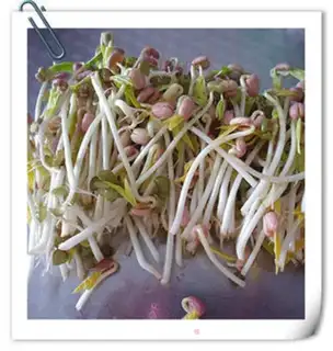 Make Green bean sprouts step 6