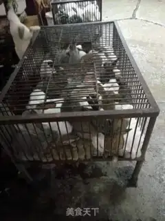 Make Eat rabbits in the cold step 0