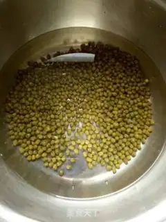 Make Auto green bean sprouts step 1