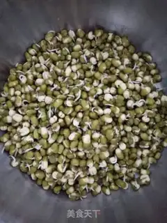 Make Auto green bean sprouts step 3