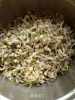 Make Auto green bean sprouts step 4