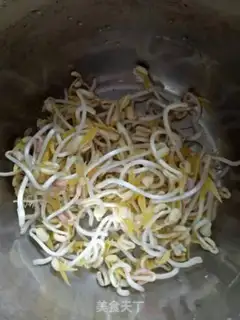 Make Auto green bean sprouts step 6