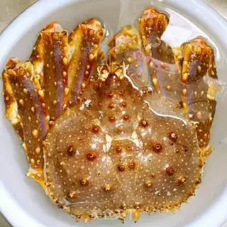 Make Crabs step 0