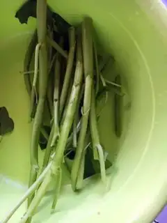 Make The empty cabbage for dinner step 0