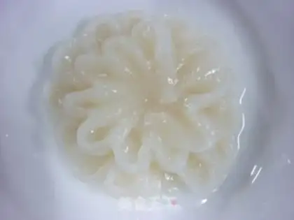 Make step 5