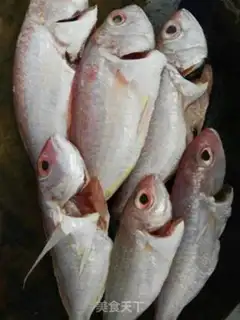 Make Red Shirt Fish step 0